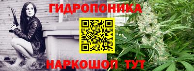 2c-b Будённовск